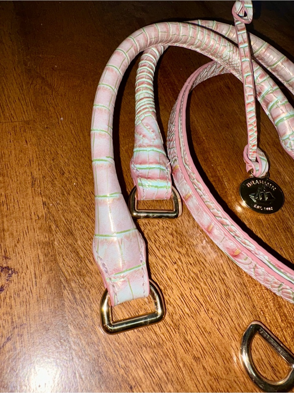Brahmin Flirty Ombré—Pink/Green Croc-Texture Bag Straps with Gold Hardware - Picture 2 of 13